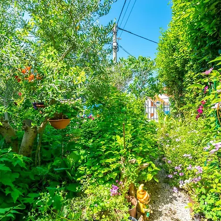 Apartmán Mrijana D Barbat na Rabu